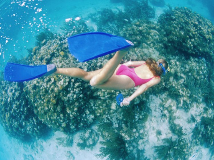 Cayman