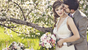 casamentos de acordo com cada signo